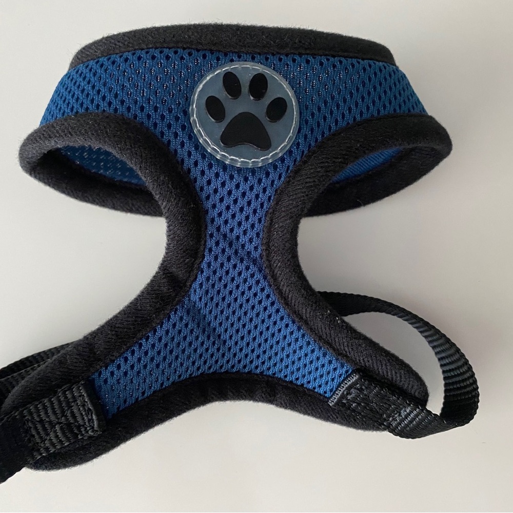 Blue lightweight,  soft dog harness